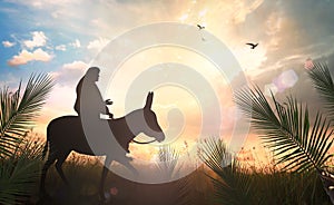 Jesus Christ riding donkey on meadow sunset photo