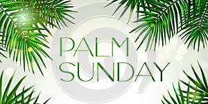 Palm Sunday - greeting banner template for Christian holiday, with palm tree leaves background. Congratulations with