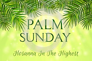 Palm Sunday - greeting banner template for Christian holiday, with palm tree leaves background. Congratulations with