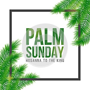 Palm Sunday holiday card, poster with palm leaves border, frame. Vector background