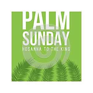 Palm Sunday holiday card, poster with palm leaves border, frame. Vector background