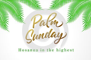 Palm Sunday, Hosanna in the highest photo