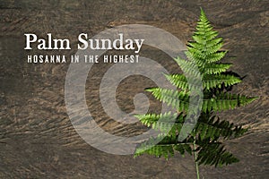 Palm Sunday. Hosanna in The Highest. With green fern leaf on natural rustic wooden table background. Happy Palm Sunday. photo