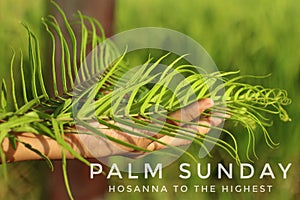 Palm Sunday - Hosanna to The Highest. Palm Sunday concept with green fern or palm leaf in hand on blurry background. photo