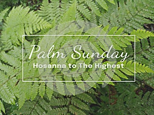 Palm Sunday. Hosanna to The Highest. Happy Palm Sunday concept. On blurry background of green fern leaves photo