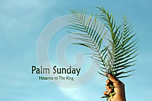 Palm Sunday quote - Happy palm Sunday. Fern or palm leaf in hand on bright and clear blue sky background.