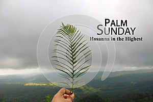 Palm Sunday quote - Hosanna in The Highest. Palm Sunday background with person holding green palm leaf in hand on blue gloomy sky. photo