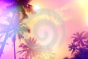 Palm sunset silhouettes tropical beach party stylized