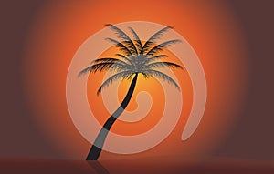 Palm in the sunset. Vector illustration. EPS 10