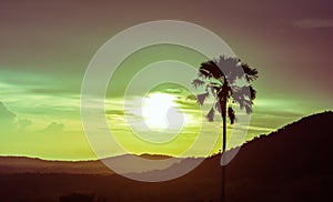 Palm and sunset. Vintage style photo.