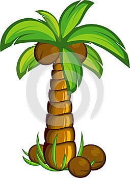 Palm tree