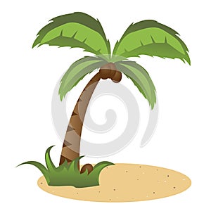 Palm tree