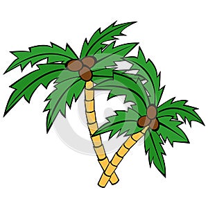 Palm tree