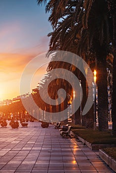 palm tree alley and sunset at beautiful Salou coastal town, tropical city street at evening, Tarragona province, Spain