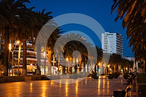 palm tree alley and sunset at beautiful Salou coastal town, tropical city street at evening, Tarragona province, Spain