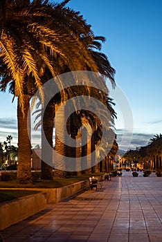 palm tree alley and sunset at beautiful Salou coastal town, tropical city street at evening, Tarragona province, Spain