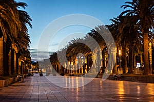 palm tree alley and sunset at beautiful Salou coastal town, tropical city street at evening, Tarragona province, Spain
