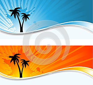 Palm tree backgrounds