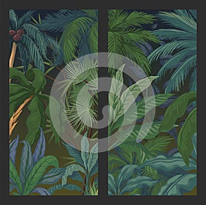 Palm tree backgrounds. Vertical backdrop for banner or flyer. Tropical botanical elements. Coconut banana and monstera