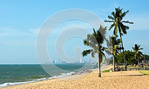 Palm Tree And Beach