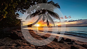 a palm tree on a beach