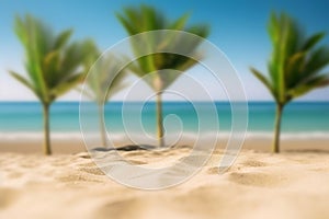 Palm tree on the beach. Green palm trees on sandy seashore in summer.