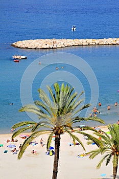 Palm tree and beach of Menton in France