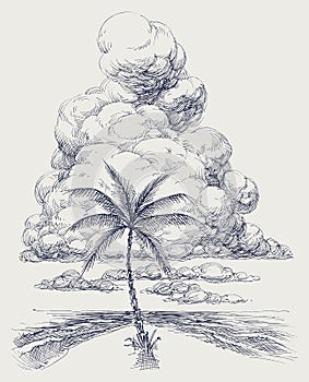 Palm tree on the beach, sea view hand drawing