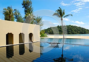 Palm tree at the beach and swimming pool
