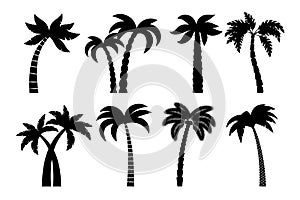 Palm tree black set