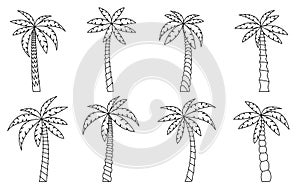 Palm tree black silhouette isolated tropical set