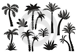 Palm tree black silhouettes set.