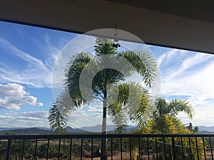 Palm tree blue sky clouds