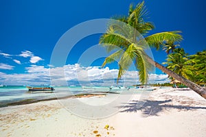 Palm tree, boat and tropical beach. Paradise exotic island, hdr