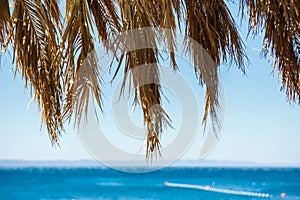 Palm tree branch covering beautiful blue sea water