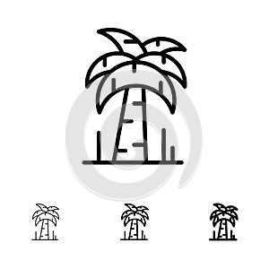 Palm, Tree, Brazil Bold and thin black line icon set