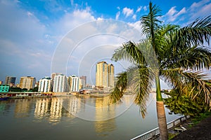 Palm tree and buildings along the Pasig River, seen from Fort Sa