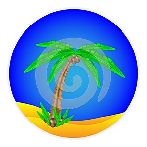 Palm tree button