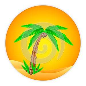 Palm tree button