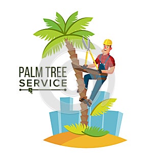 Palm Tree Trimming Vector. Trimming Tree Or Removal To Tree Pruning. Cartoon Character Illustration