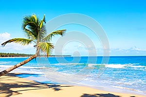 Palm tree on the caribbean tropical beach. Saona Island, Dominican Republic. Vacation travel background