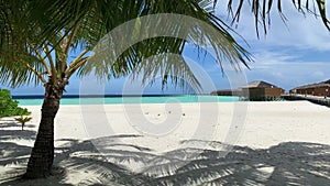 Palm tree casting dense shadow on sand beach of resort