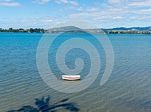 Palm tree casts shadow over water