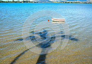 Palm tree casts shadow over water
