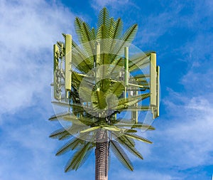 Palm Tree Cell Antenna