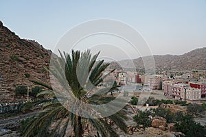 Palm tree with cityscape of African Tafraout city in Morocco