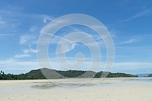 Palm tree coconut tree on white sand beach in Koh Phangan tropical paradise island, the most beautiful beach in the world