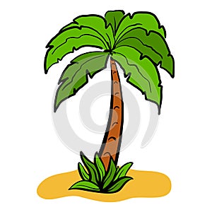 Palm tree color silhouette isolated on white background.