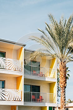 Palm tree and colorful hotel with balconies in Palm Springs, California