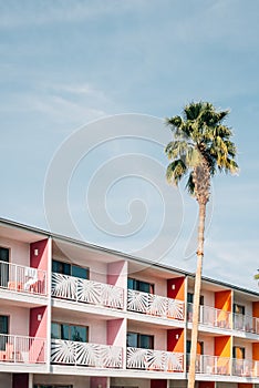 Palm tree and colorful hotel with balconies in Palm Springs, California